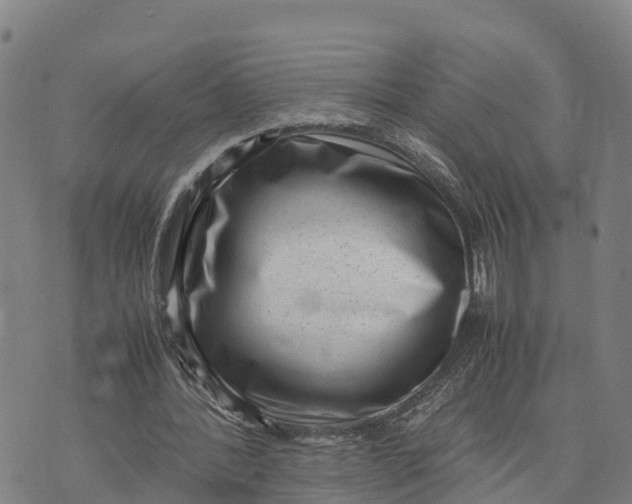 X0000072530388200608041602