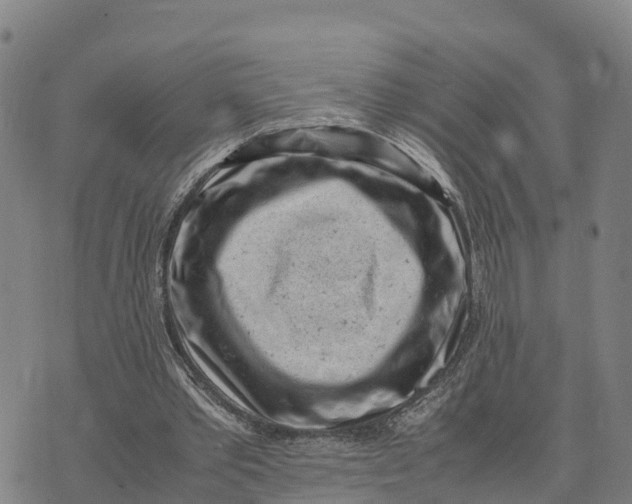 X0000072530389200608041602