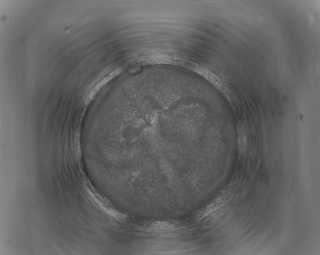 X0000072530390200608041602