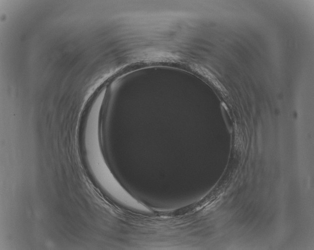 X0000072530391200608041602