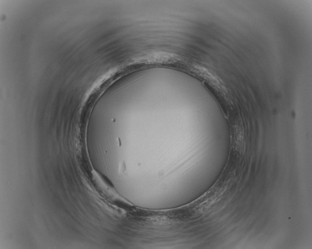 X0000072530392200608041602