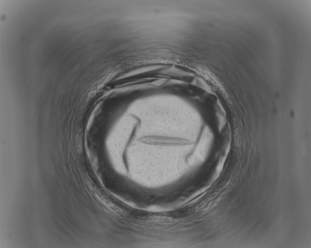 X0000072530393200608041602