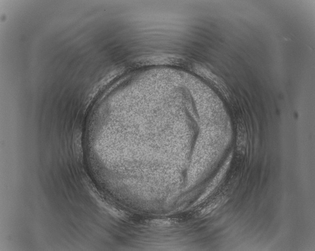 X0000072530394200608041602