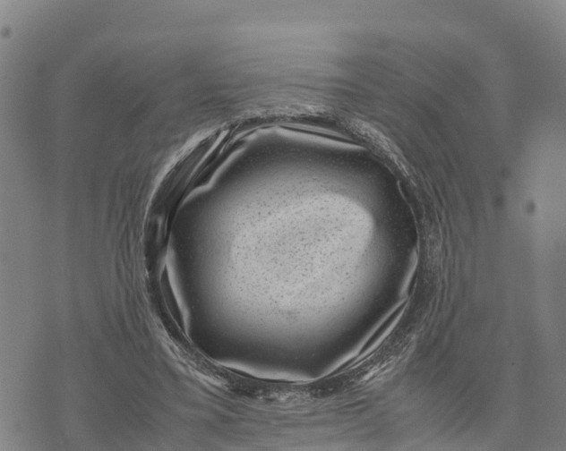 X0000072530395200608041602