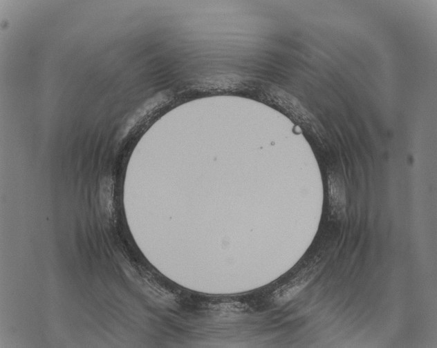 X0000072530396200608041602