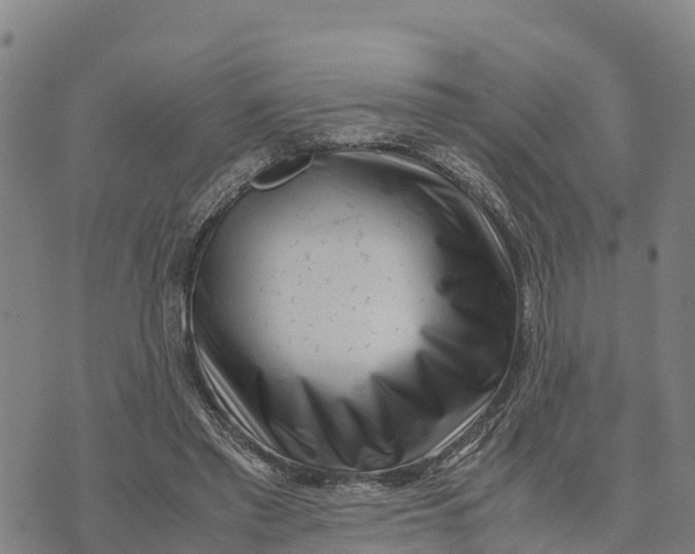 X0000072530397200608041602