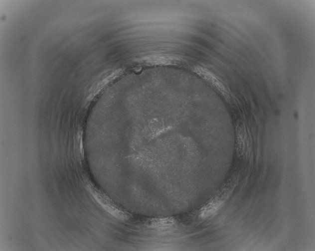 X0000072530398200608041602