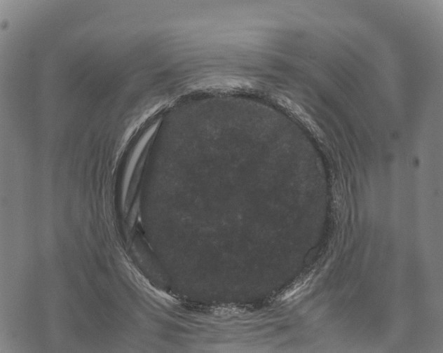 X0000072530399200608041602