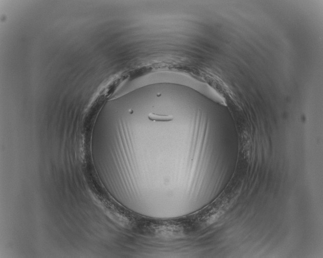 X0000072530400200608041602