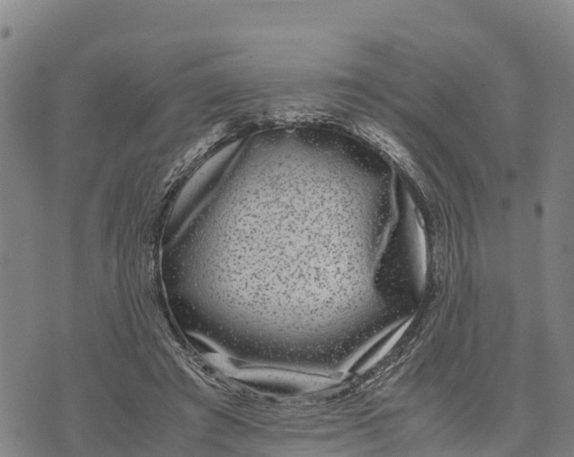 X0000072530401200608041602