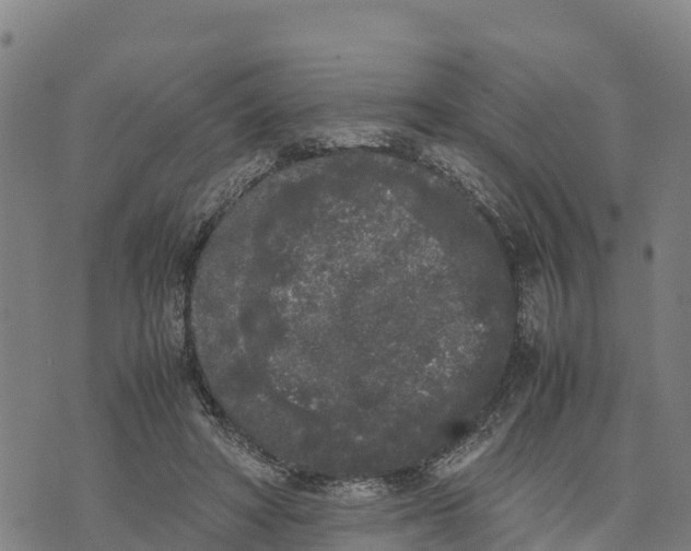 X0000072530402200608041602