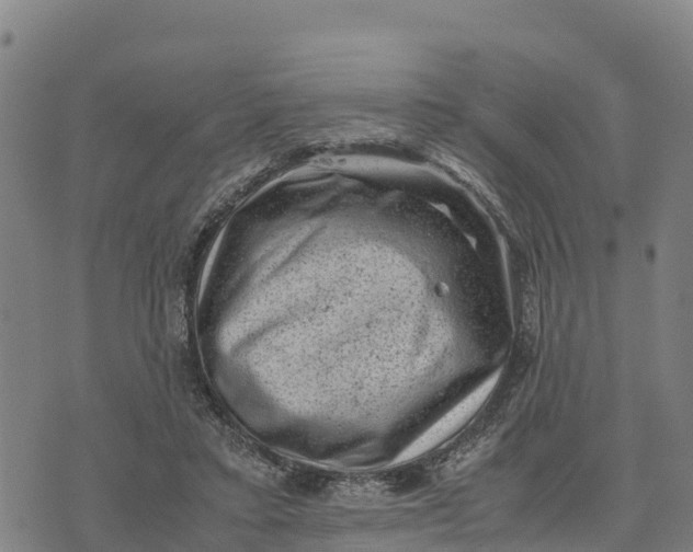 X0000072530403200608041602