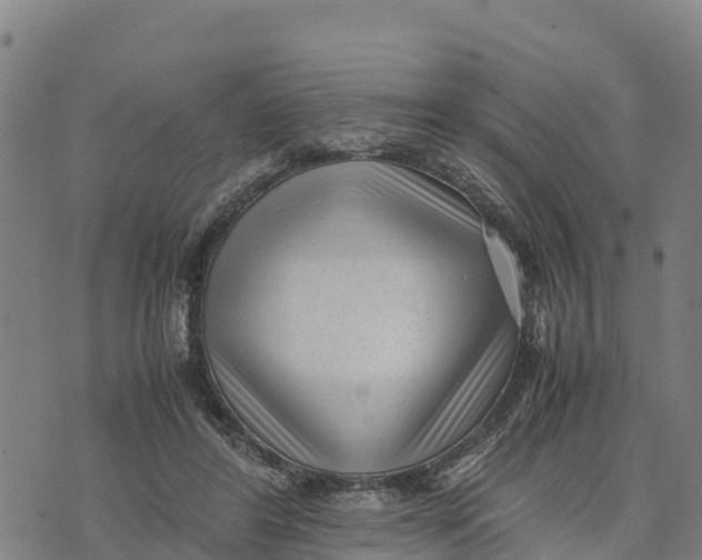 X0000072530404200608041602