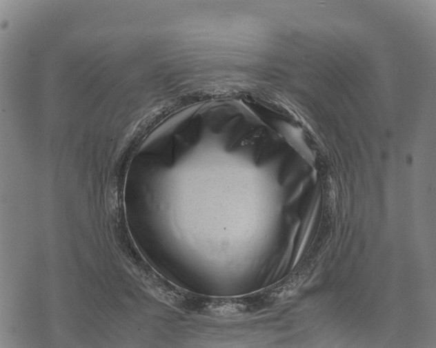 X0000072530407200608041602