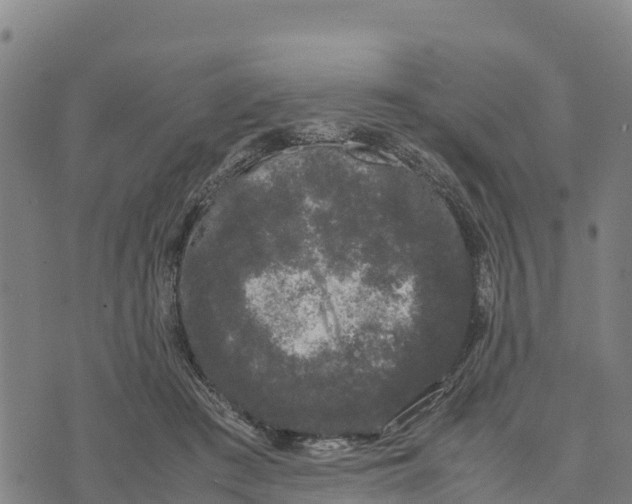 X0000072530409200608041602