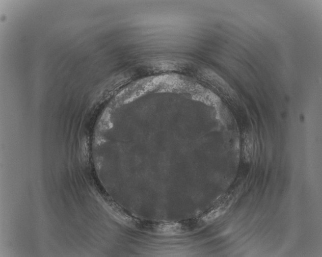 X0000072530410200608041602