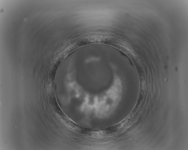 X0000072530411200608041602