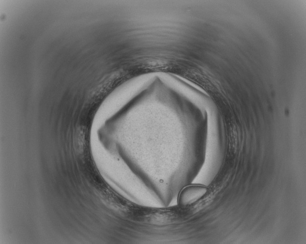 X0000072530412200608041602