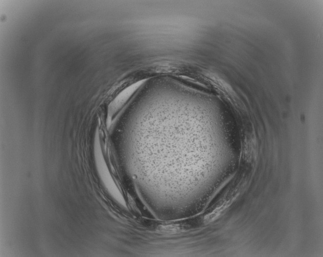 X0000072530413200608041602