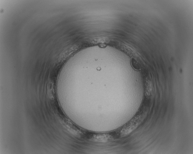 X0000072530414200608041602