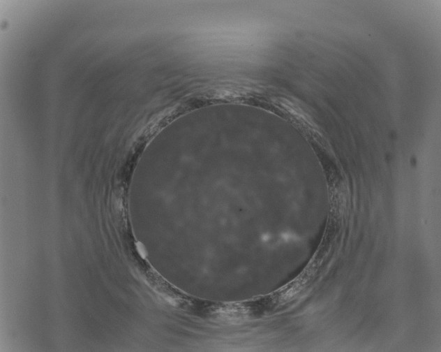 X0000072530415200608041602