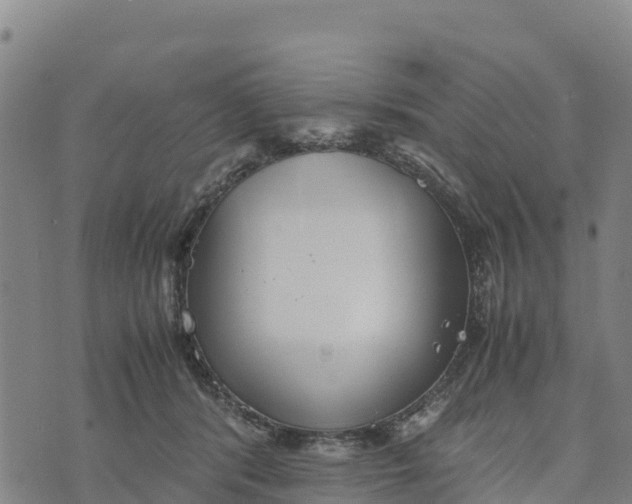 X0000072530416200608041602