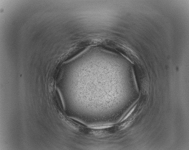 X0000072530417200608041602