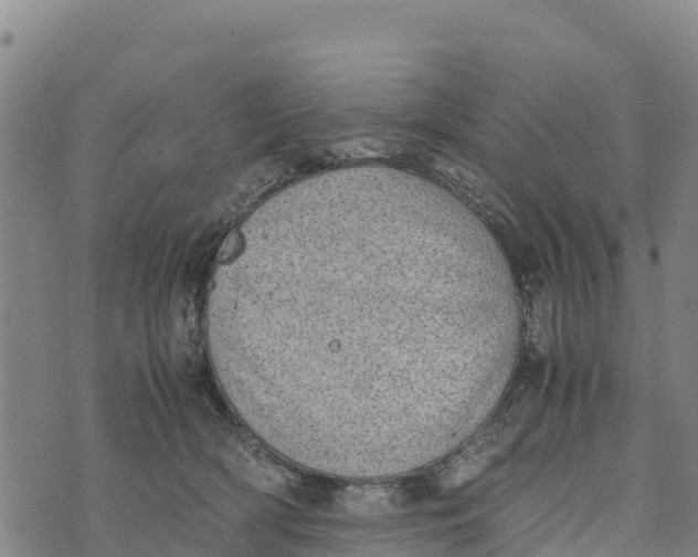 X0000072530418200608041602