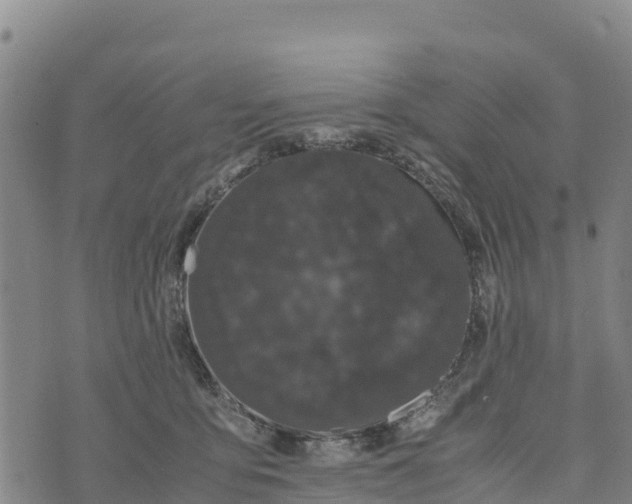 X0000072530419200608041602