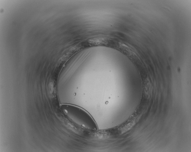 X0000072530420200608041602