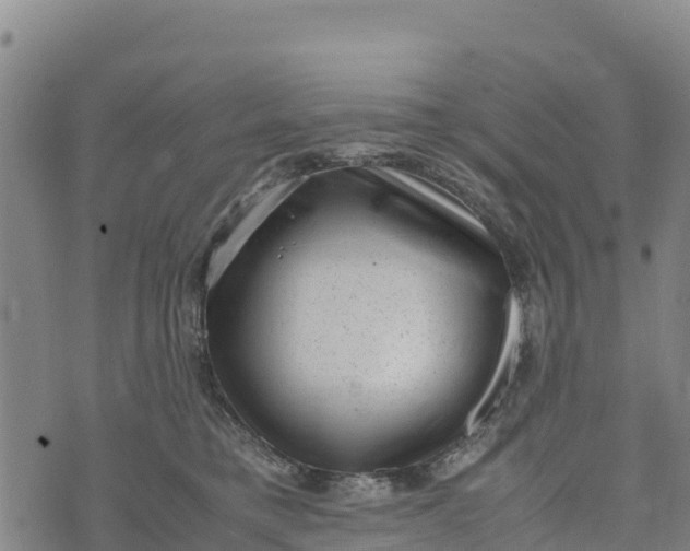 X0000072530421200608041602