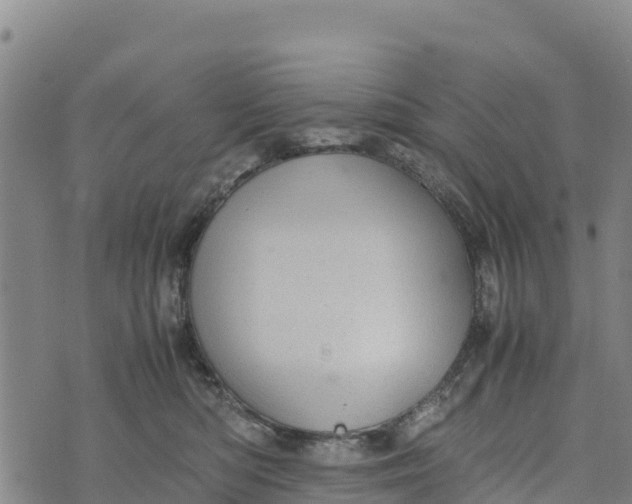 X0000072530422200608041602