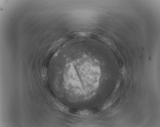 X0000072530423200608041602