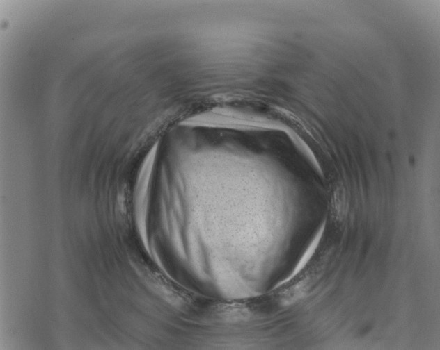 X0000072530424200608041602