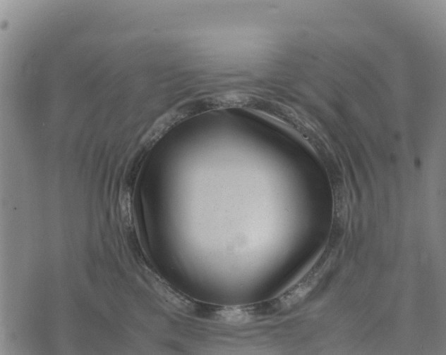 X0000072530425200608041602