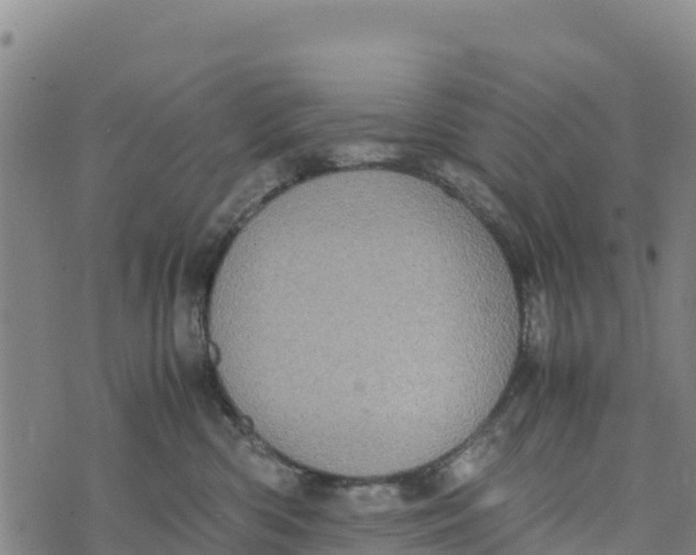 X0000072530426200608041602