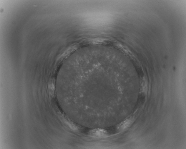 X0000072530427200608041602