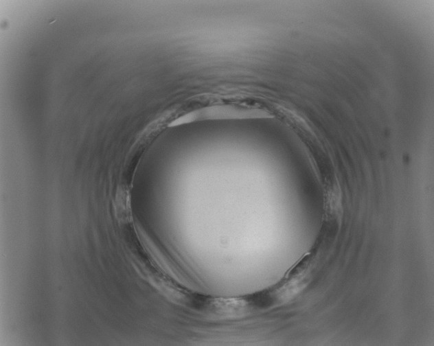 X0000072530429200608041602