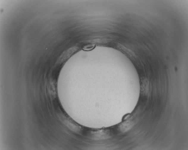 X0000072530430200608041602