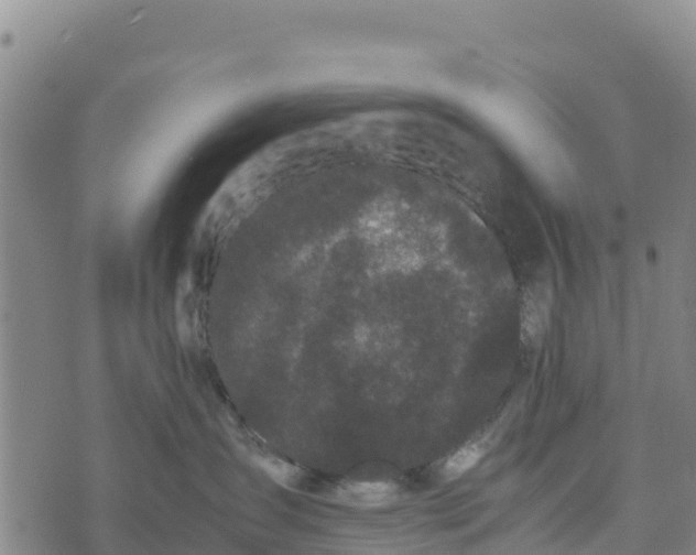 X0000072530431200608041602