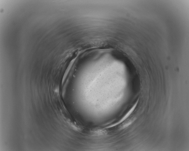 X0000072530432200608041602