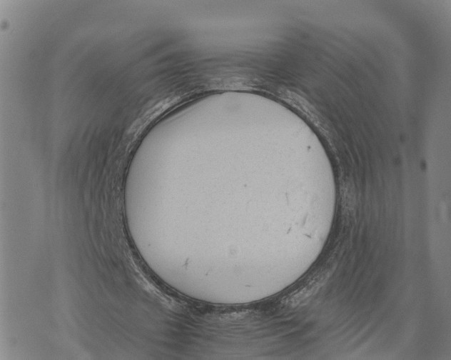 X0000072530433200608041601