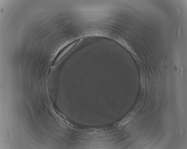 X0000072530434200608041601