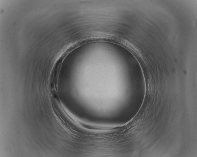 X0000072530436200608041601