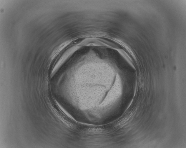 X0000072530437200608041601