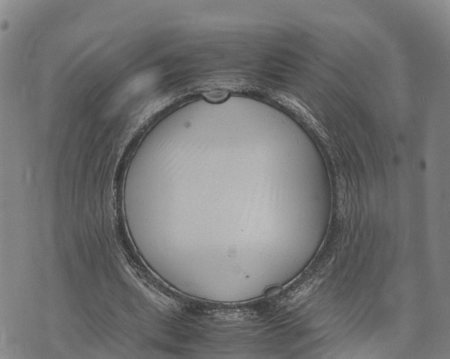 X0000072530439200608041601