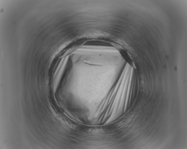 X0000072530440200608041601