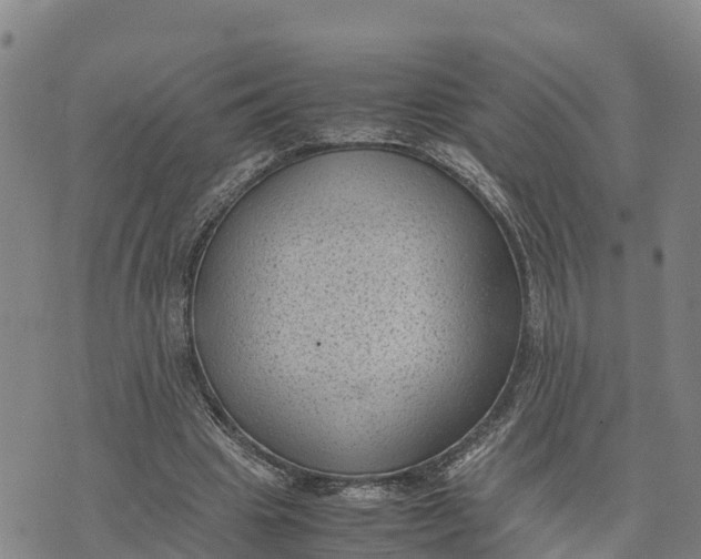 X0000072530441200608041601