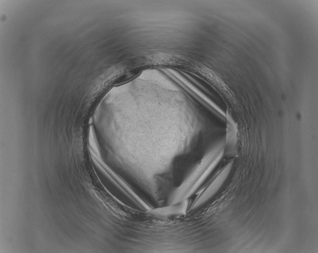 X0000072530442200608041601