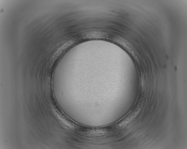 X0000072530445200608041601